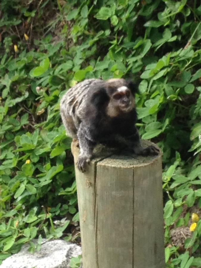 Pousada Da Lagoa Hotel Florianópolis Kültér fotó